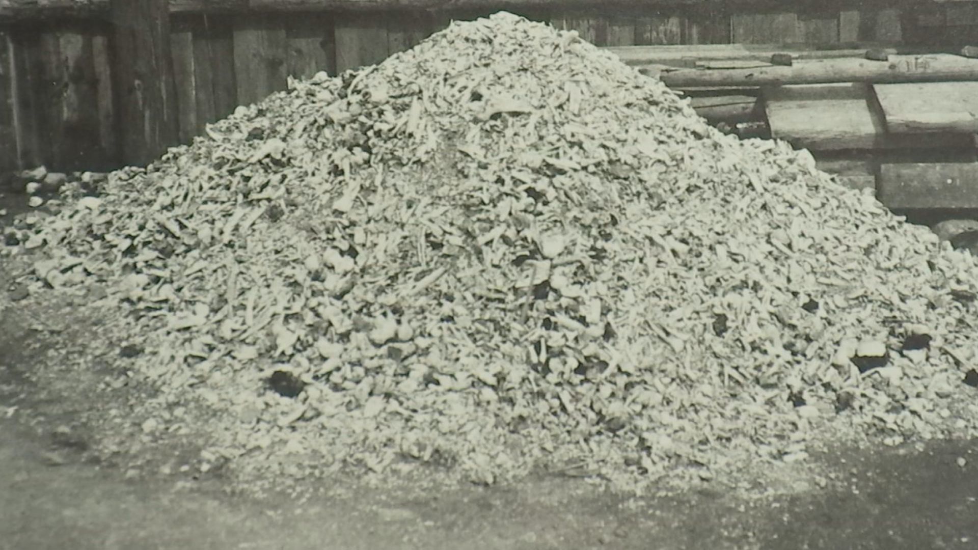 Buchenwald ash pile
